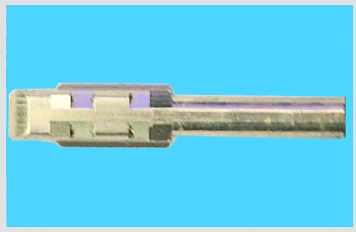 HTB1aAFyKFXXXXXrXpXXq6xXFXXXW