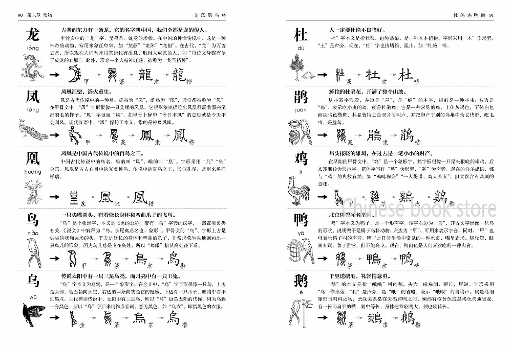 Booculchaha Chinese Character Books For Beginners Easy Learning 1000 Chinese Character With Graphics Pictures Chinese Character Book Chinese Characterchinese Book Aliexpress Booculchaha Chinese Character Books For Beginners Easy Learning 1000 Chinese Character With Graphics Pictures Chinese Character Book Chinese Characterchinese Book Aliexpress