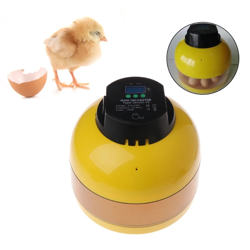 

Egg Incubator Mini 10 Eggs Hatcher Hatchery Chicken LED Digital Temperature EU