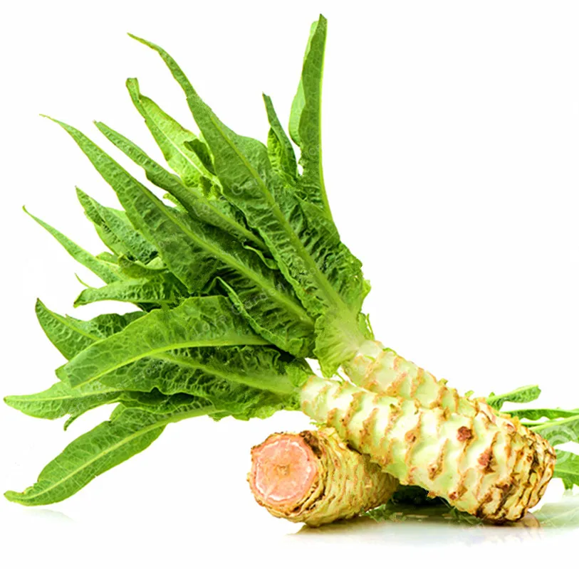 

30 Particles/Bag Asparagus Lettuce Bonsai Very Delicious Lactuca Sativa Bonsai Chinese Celtuce Bonsai Organic Vegetables