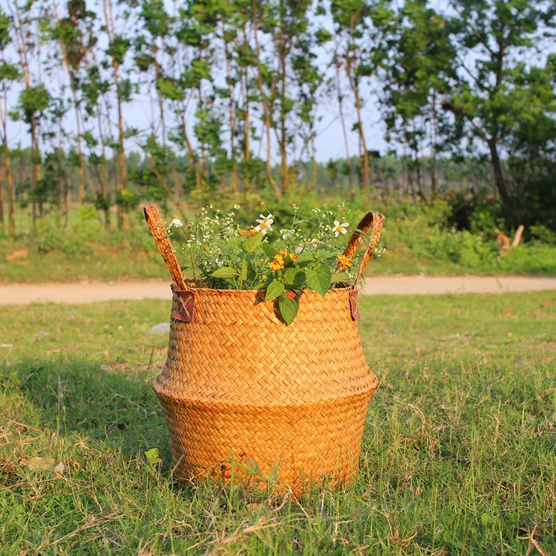 4208926735_943579889