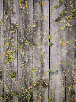 

LIFE MAGIC BOX Board 150x200cm Custom Photo Backdrops Background Props wood backdrop photography J02803