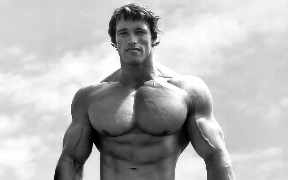 Arnold Schwarzenegger fisiculturista Mr Olympia universo Poster 40 x 24