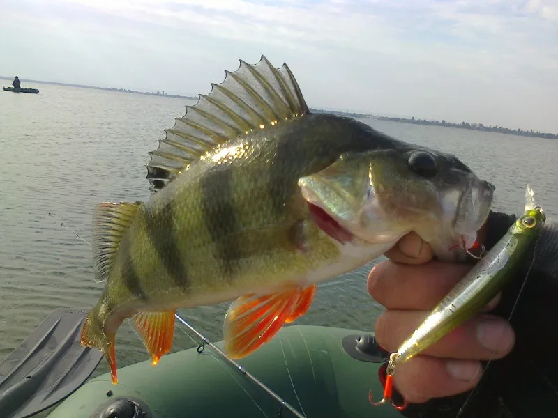 Hunthouse рыболовная приманка Wobber художника крошечные Minnow Пресноводная Рыбалка для