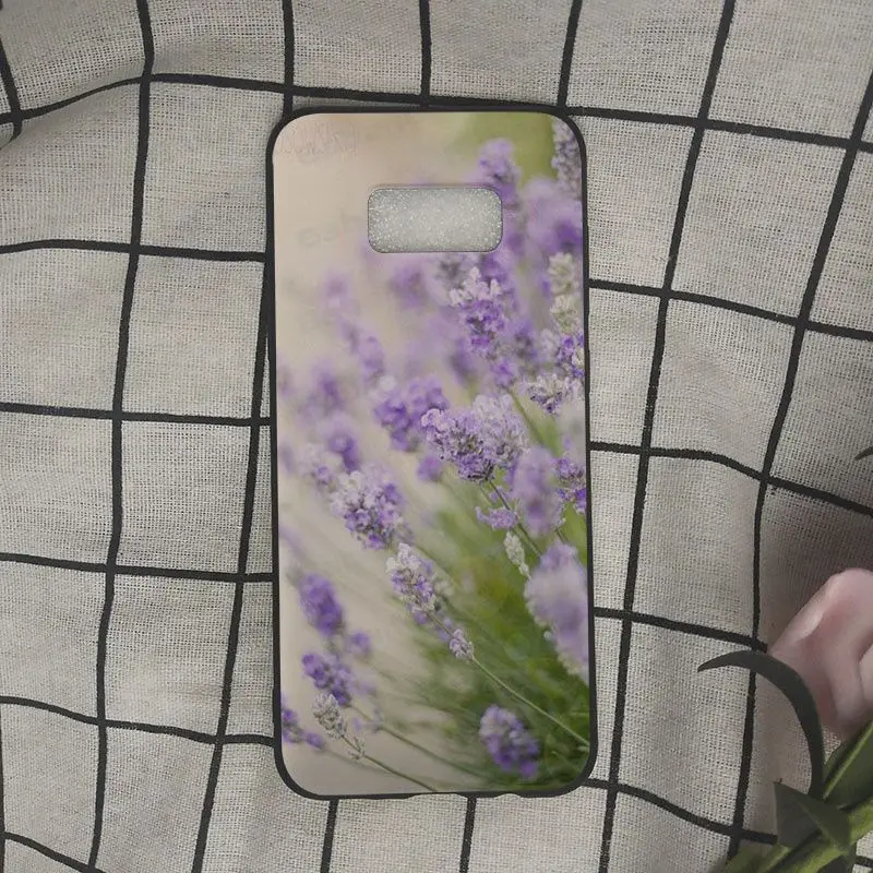 Simple lavender Purple flowers