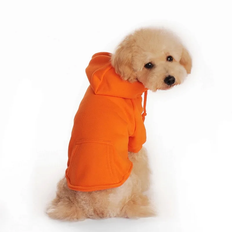 orange cat moletom com capuz