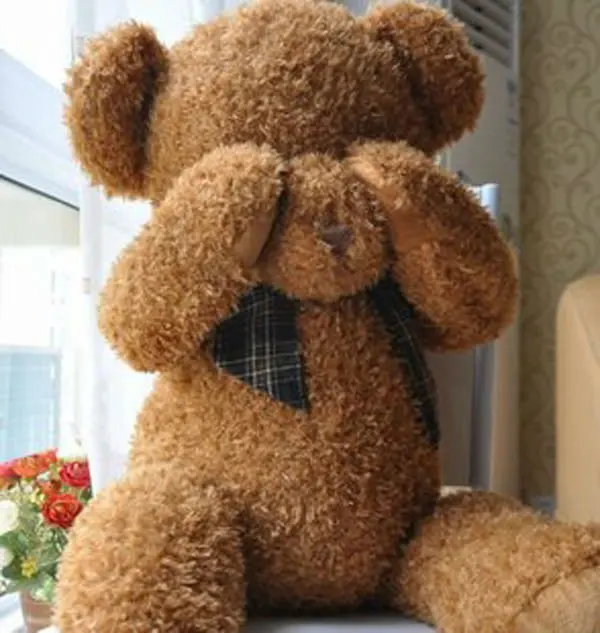 brown color teddy bear