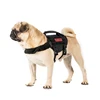 Small Sized Dog Vest