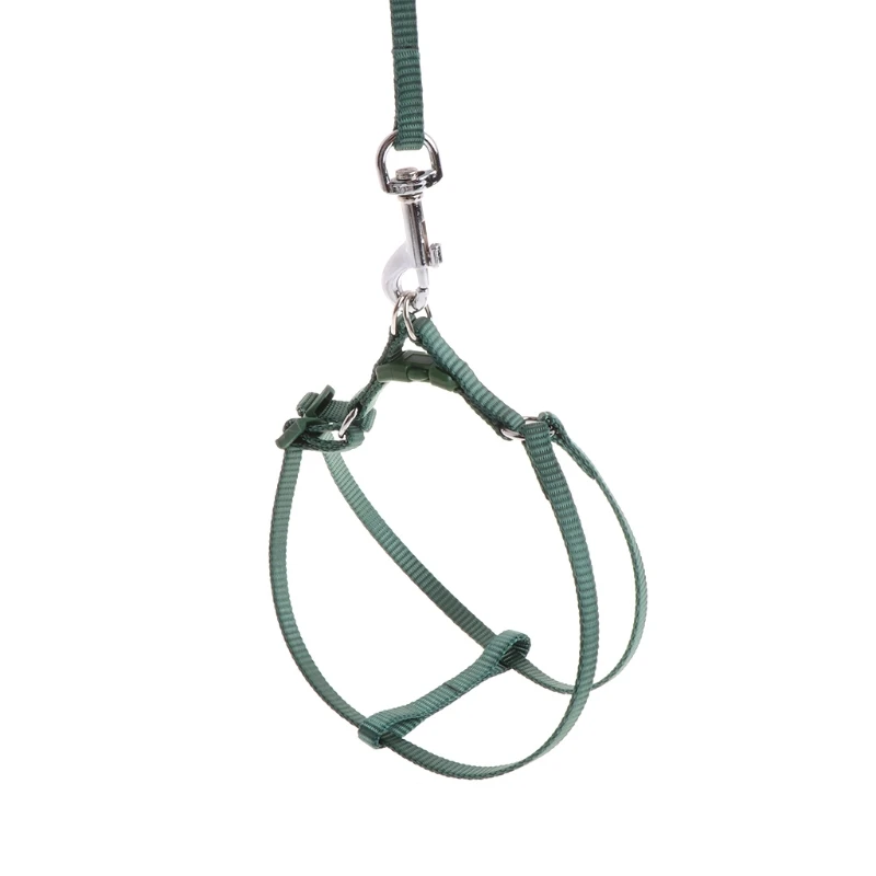 

2018 NEW Pet Bird Leash Outdoor Adjustable Harness Training Rope Anti Bite Flying Band parrot leash birds accessoires