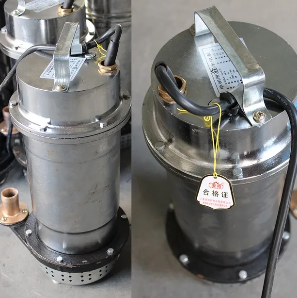 QDX10 20 1.1 Type High Lift 1.1KW Electric Water Pumps High Pressure