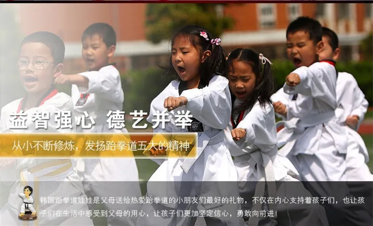 Kerea Taekwondo 6