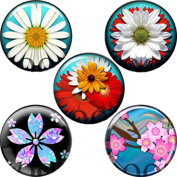 acrylic ear gauges black tunnels piercing plugs body jewelry stretchers