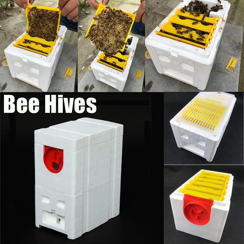 

Harvest Bee Hives Box Foam Beekeeping King Box Pollination For Bee Pollination Beekeeping Equipment Tool Home Hive House Case