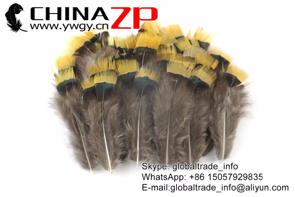 9 Natural  Lady Amherst Pheasant Plumage Wholesale Feathers (3)