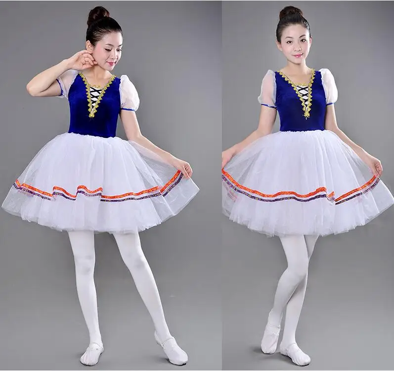 Buy Classical Long Tutu Swan Lake Ballet Costume