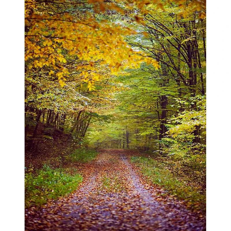 comprar Outono Fundo Fotografia fundo fotografico parágrafo estudio Country Road Profissão Fotográfica photo studio Backdrop MR 2136