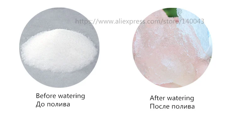 4303052764_1755735314