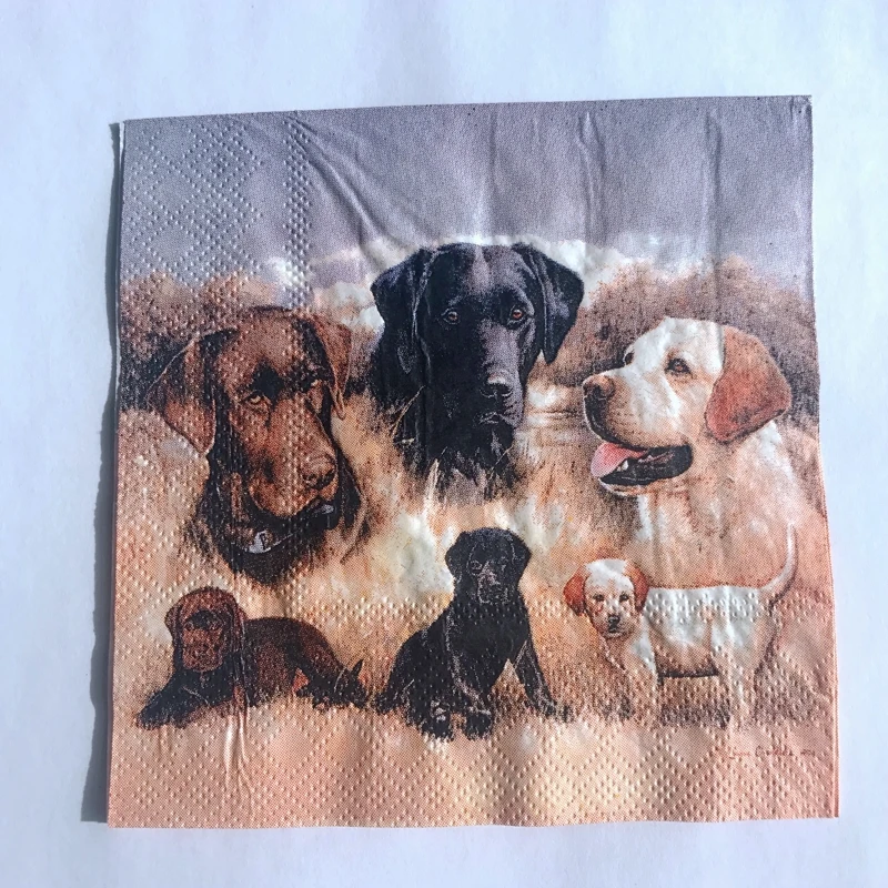 cocktail_napkins_CX06_07