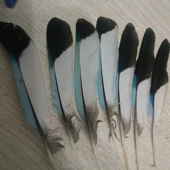

Wholesale 100 pcs natural Kingfisher feather 8-10 cm long, Diy jewelry decorative accessories