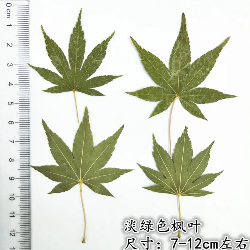 3--2