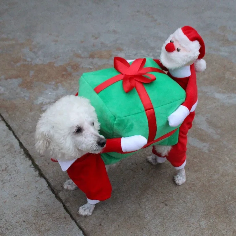 Christmas Dog Clothes (6)