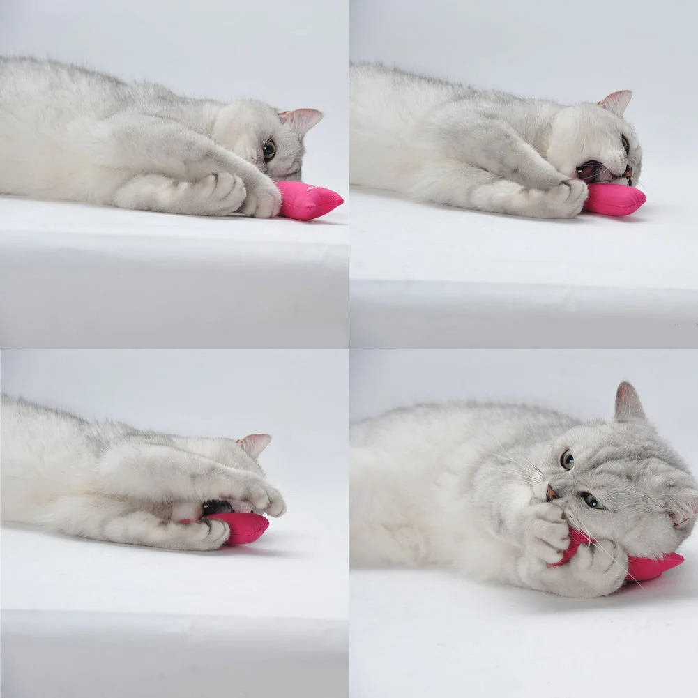 Необычные игрушки для измельчения зубов, милая подушка для царапин, сумасшедшая кошка, кошачья мята J2Y