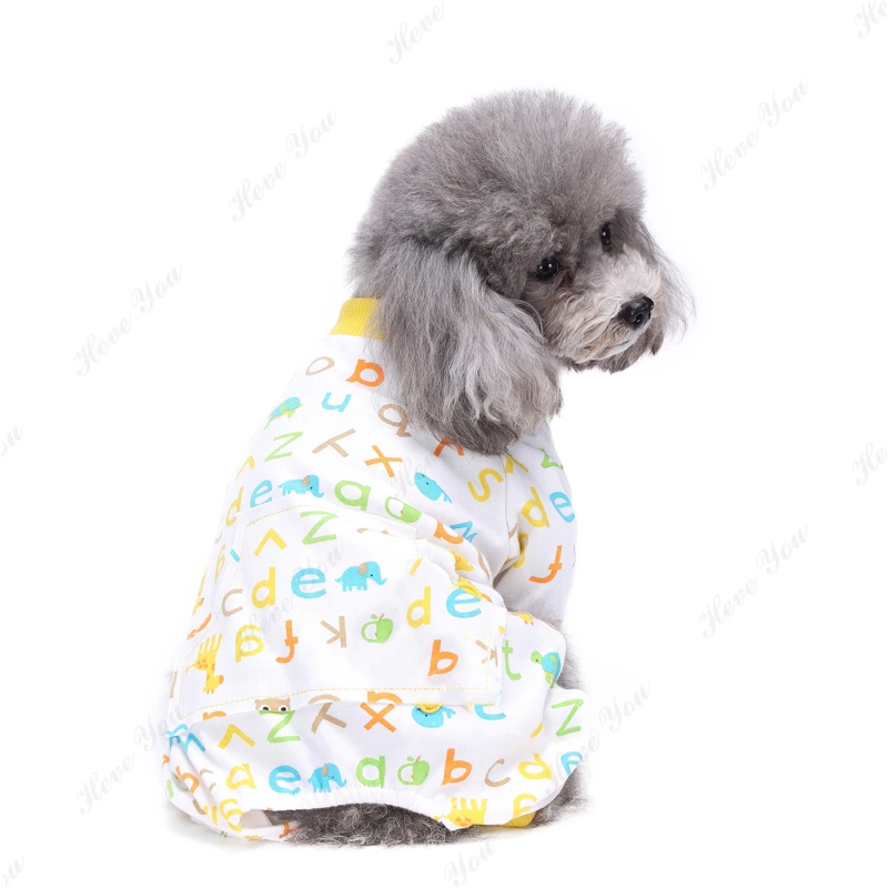Dog_2871