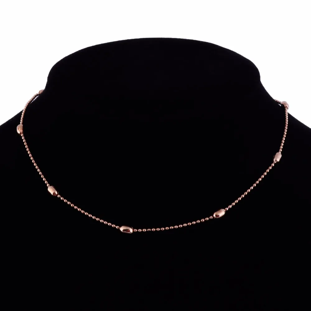 263542_no-logo_263542-2-01