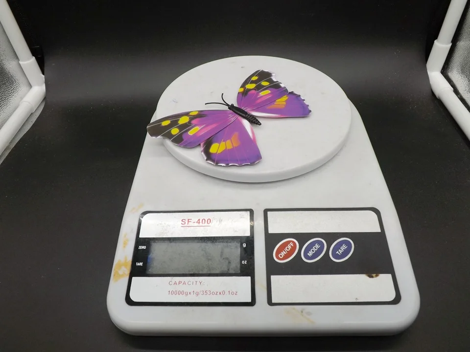 I241-Butterfly (14)