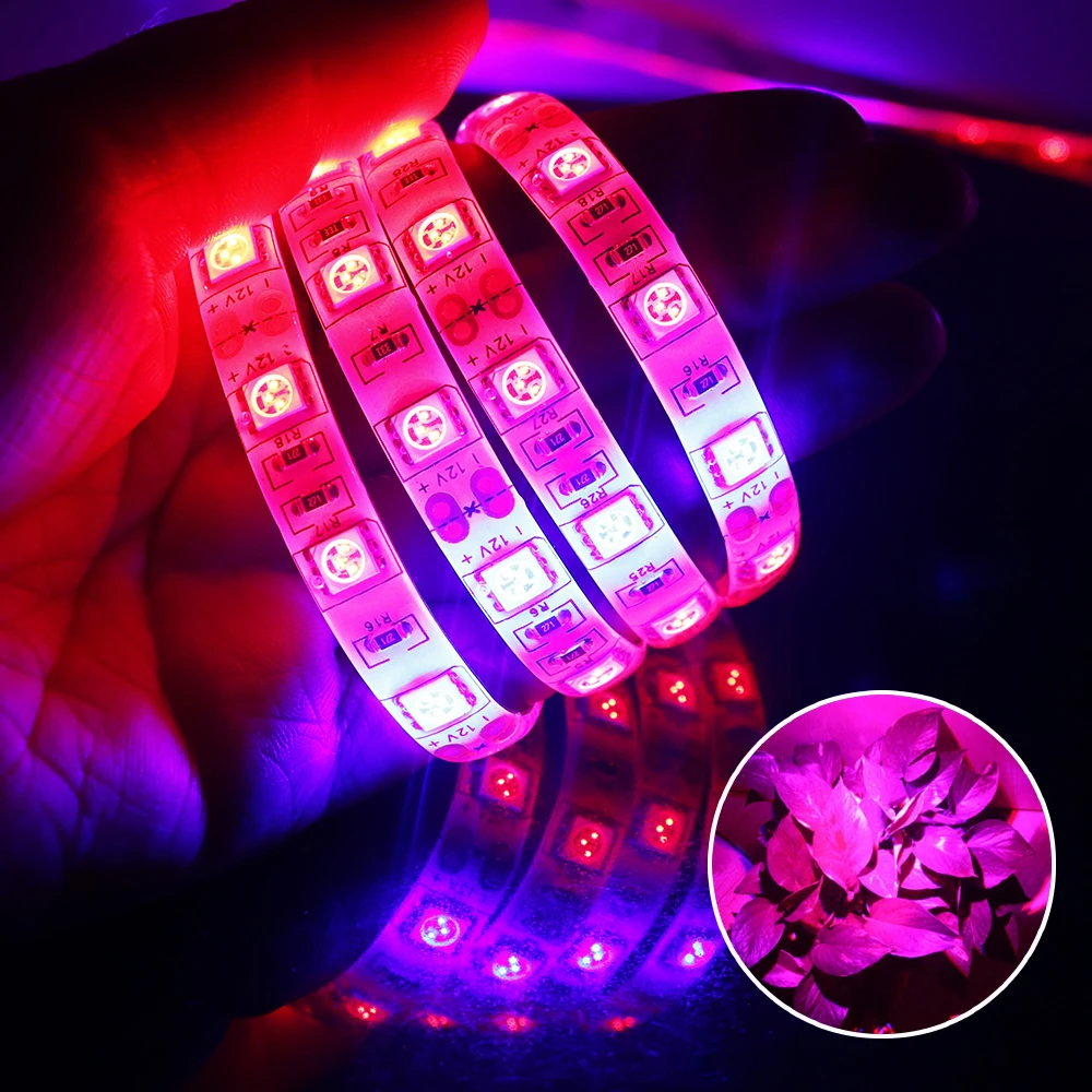 5Meter 5050 LED Strip Plant Grow Lights DC12V 300leds 31 41 51 Red Blue light for Greenhouse