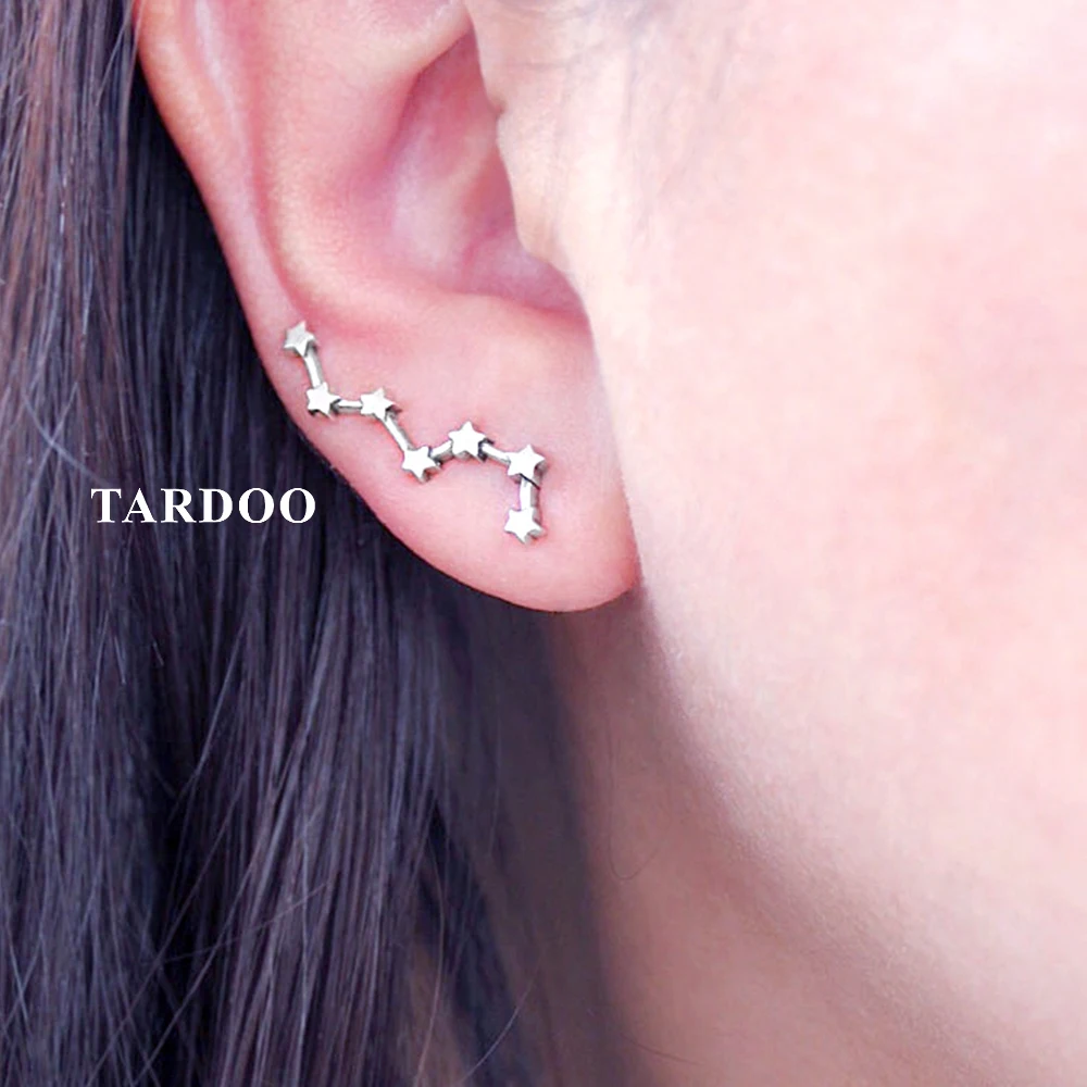 Tardoo 925 Sterling Silver Hook Earrings Seven Stars Modelling Brilliant Shining Earrings Silver 925 Jewelry for Women Tardoo 925 Sterling Silver Hook Earrings Seven Stars Modelling Brilliant Shining Earrings Silver 925 Jewelry for Women