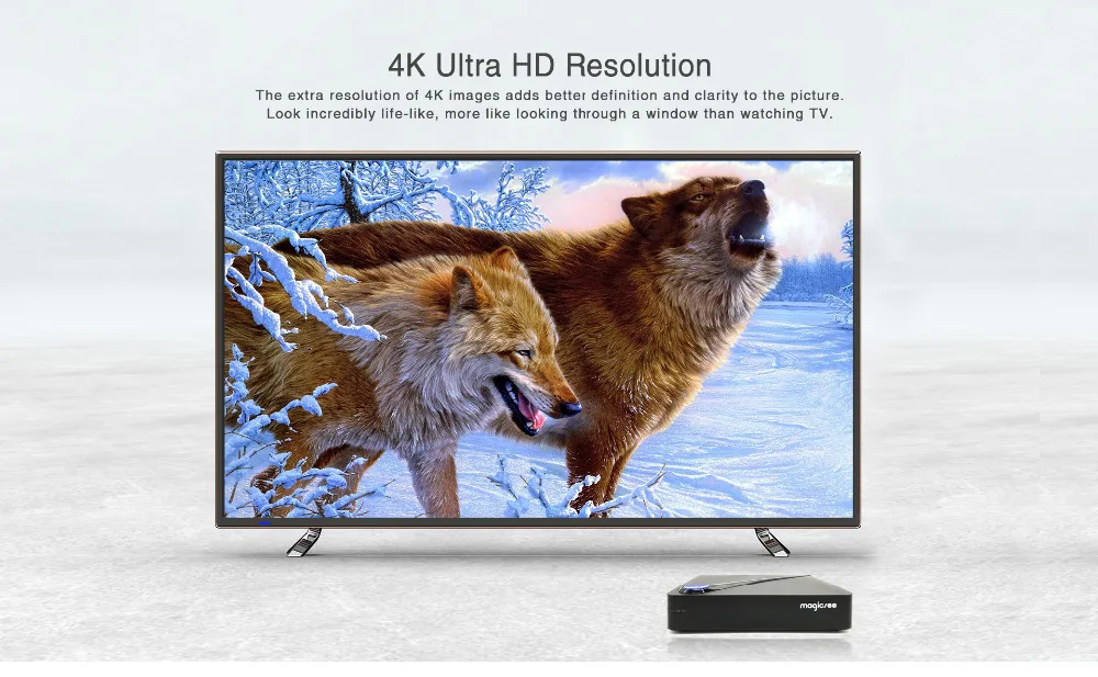 C300pro_04