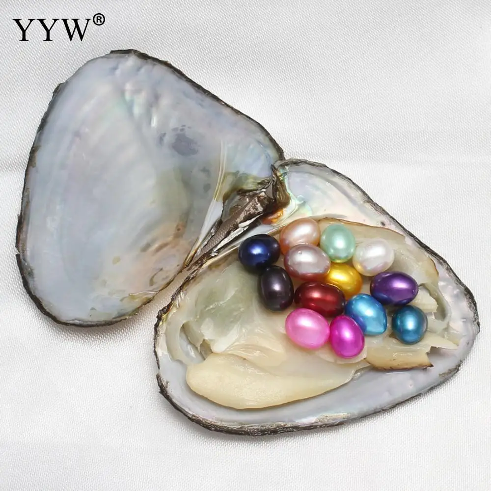 10PC/Lot 7 8mm 10 Pearls in One Oyster Freshwater Cultured Love Wish Pearl Oyster Hot Sale