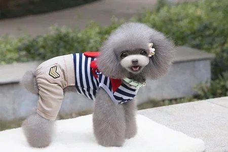 2016_Newest_Spring_Pet_four_legs_clothes_hot_sale_Pet_Sailor_Jumpsuit_Pants_Puppy_dog_Bib_Seaman_clothes_Lovely_222
