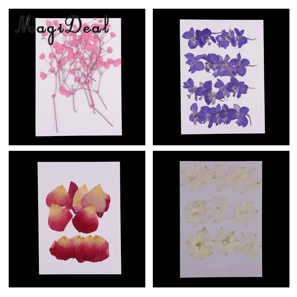 10 / 20Pcs Beautiful Real Pressed Rose Petal Babysbreath Flowers Dried Flowers for Art Craft Scrapbooking DIY Resin Jewelry
