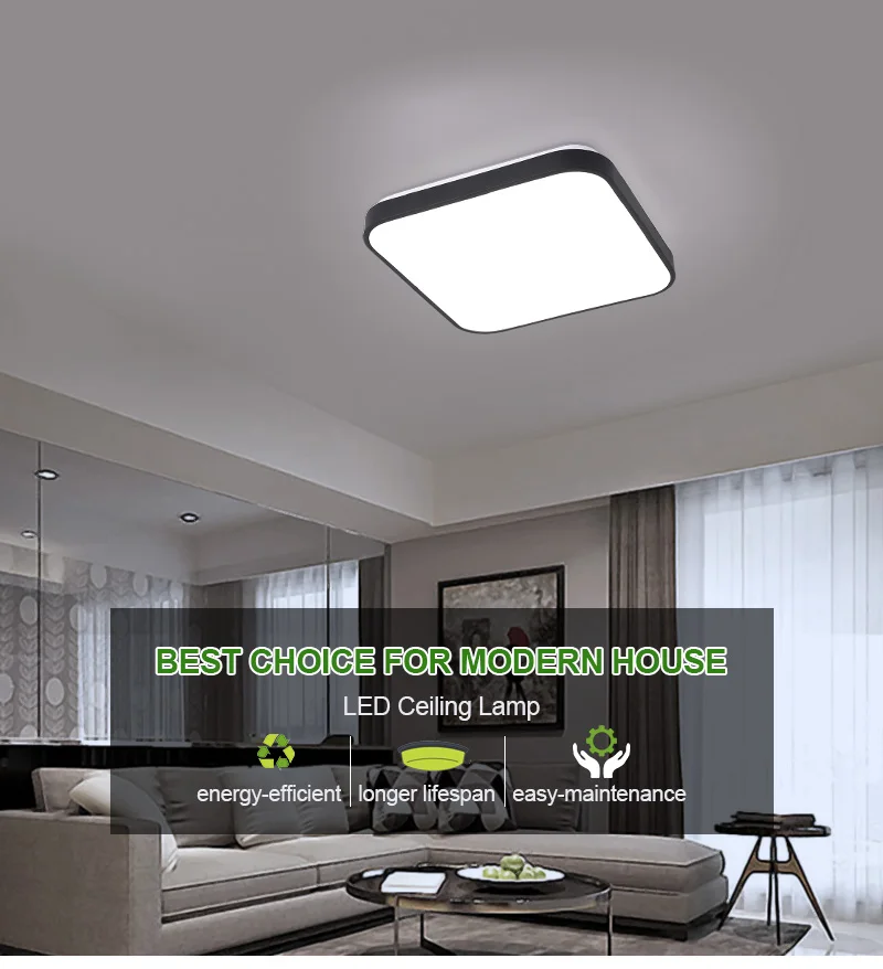 ceiling lighting (1)