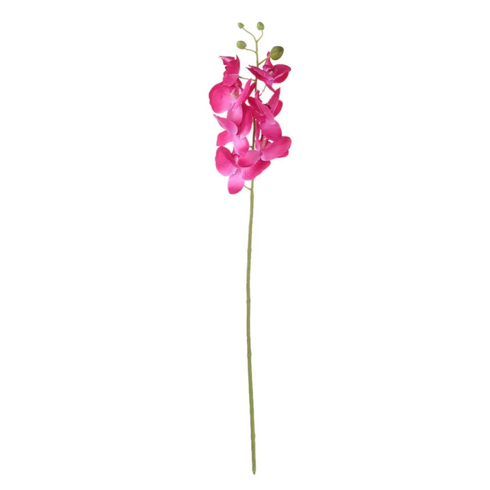 ZS313Hotpink (1)