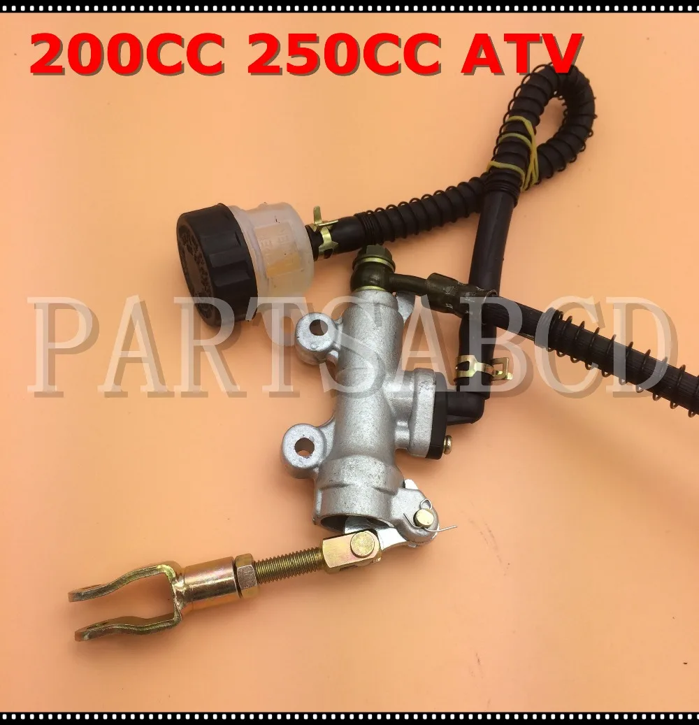 C6695EE5-FD2F-4838-BD6D-099300371589_