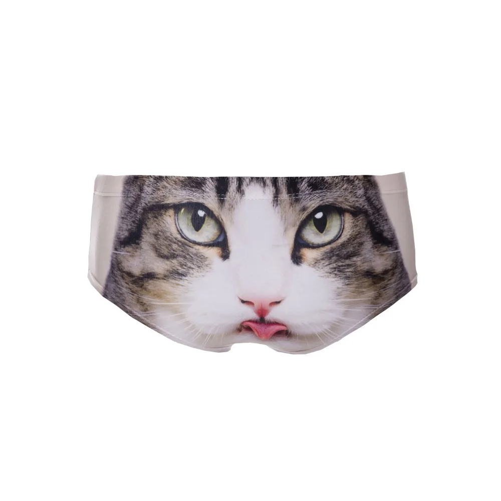 39068 tongue cat (5)