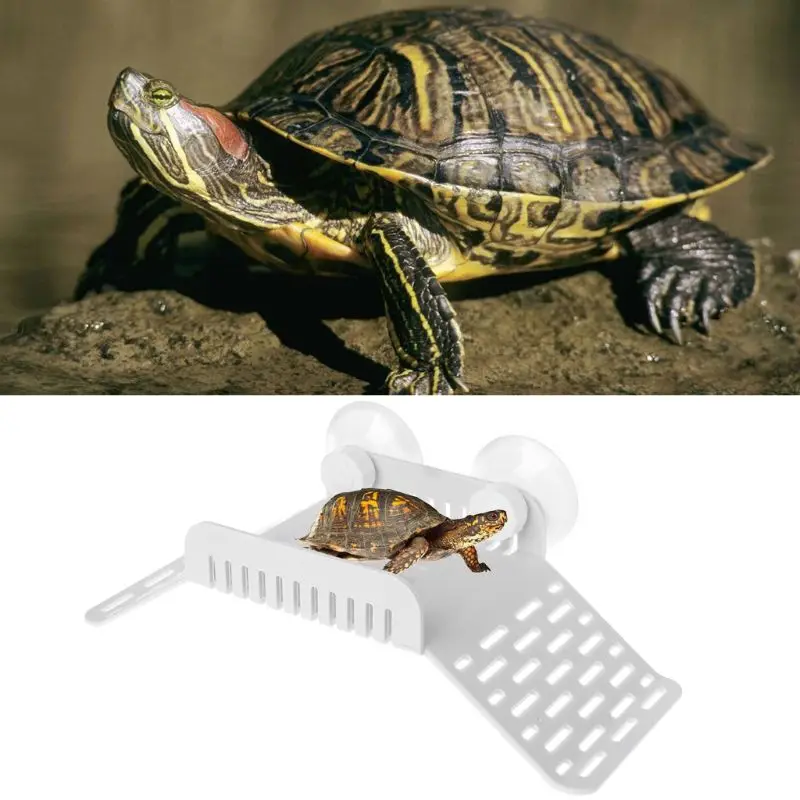 

Multi-functional Reptile Amphibian Basking Floating Platform with Feed Bowl Cup for Turtle Lizard Tortoise