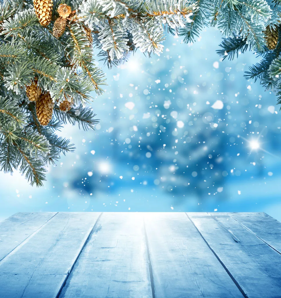 10X10ft Vinyl Custom Photography Background Prop Christmas theme