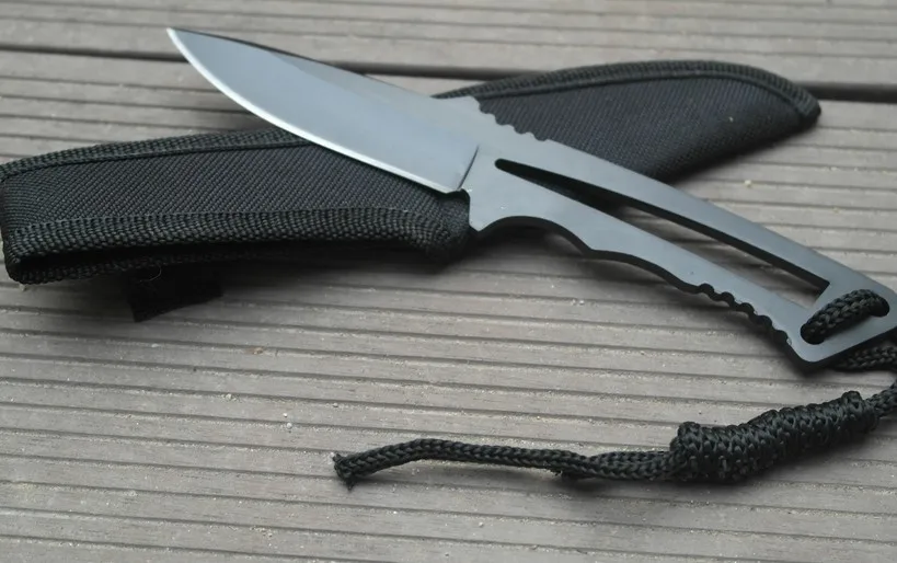 2136721357_1522135706