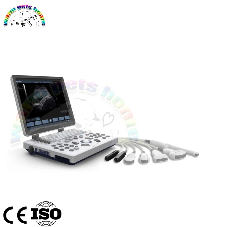 06(1)