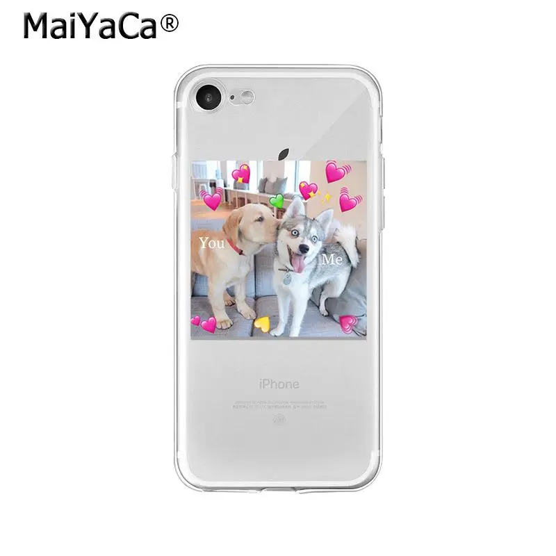 Animal Dog Cat Love You Friend Couple