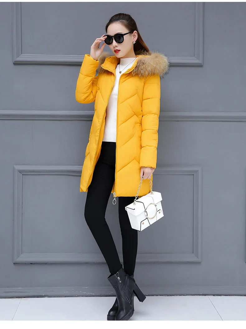 Padded Long Winter Coat Women Plus Size 3XL Ladies Coats With Fur Fake Collar Hooded Jacket Zipper Coat For Female 2018 New CH601 (15)
