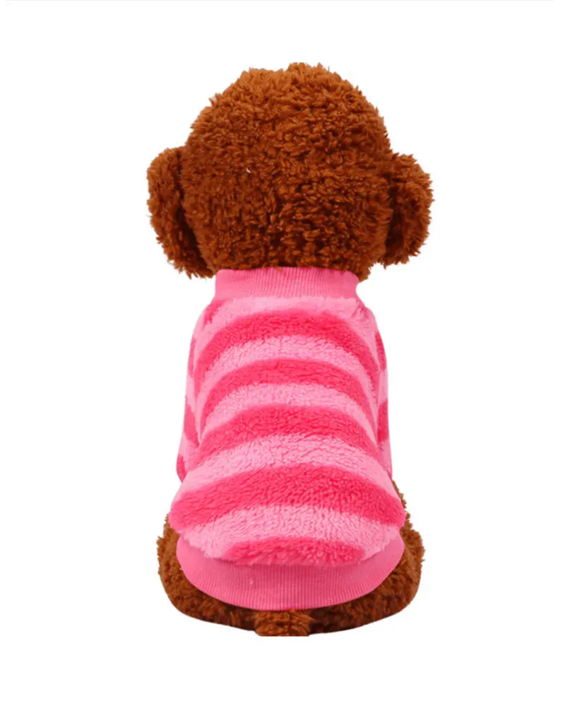 dog jackets outdoor