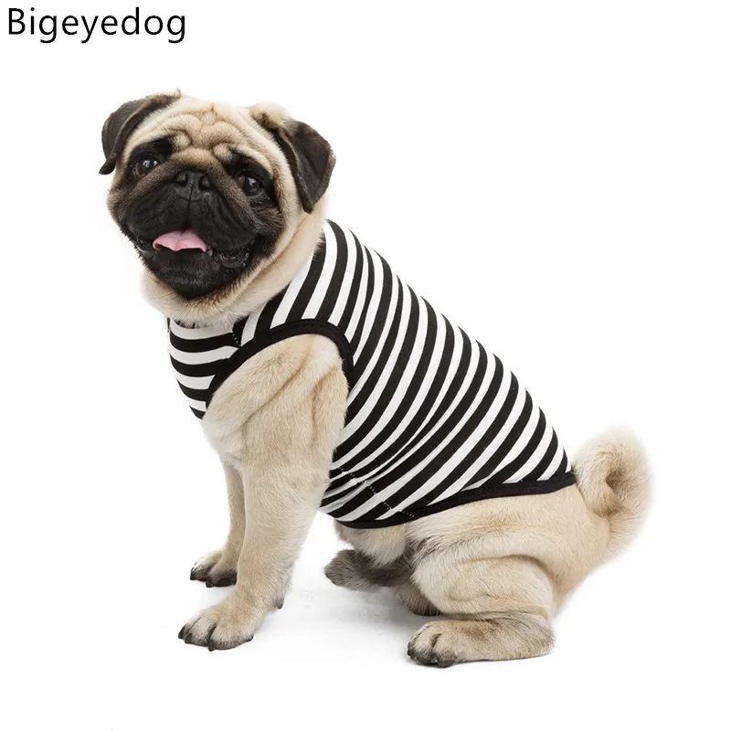 0 : Buy Bigeyedog Dog Vest T shirt Chihuahua Puppy Stripe Vest Summer Dog Clothes ...