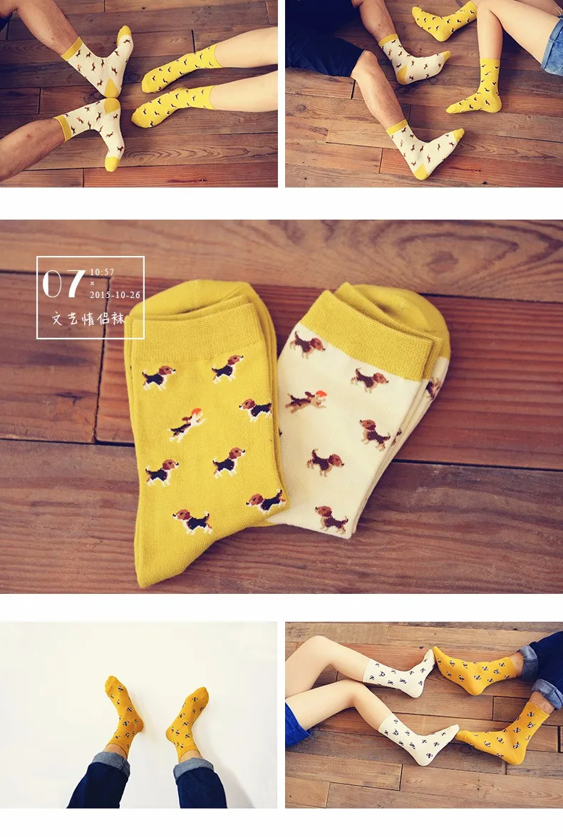 2562782588_1725092888