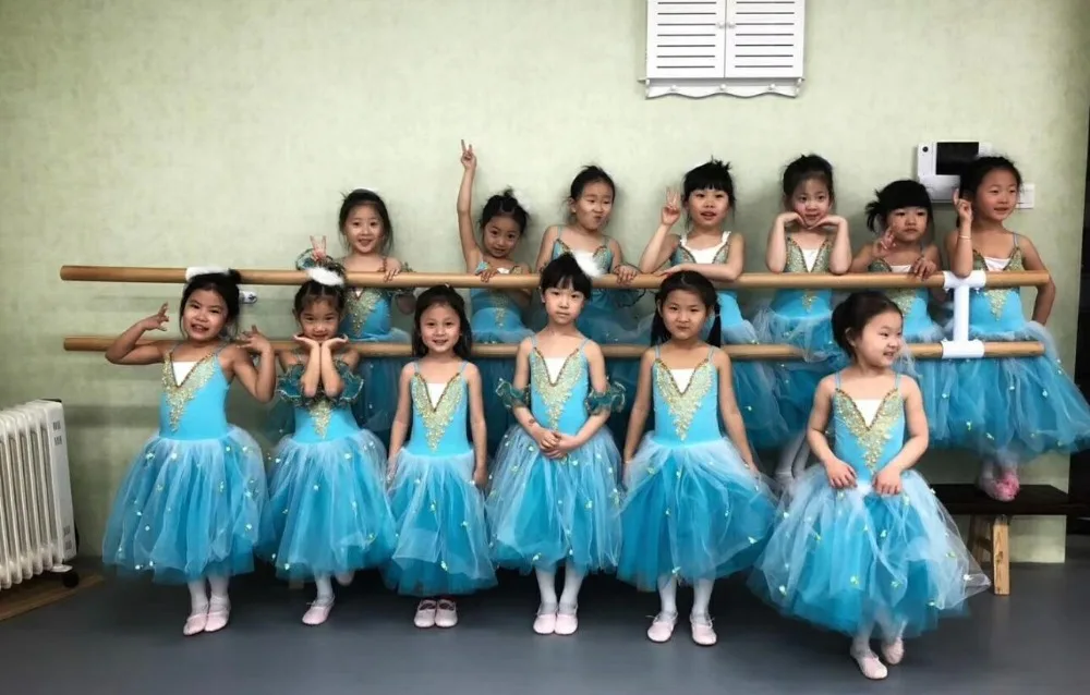 Professional Girls Ballet dance Costume Romantic Ballet Tutu long Dresses Kids Carnival Performance Girls dancing Tutu dress