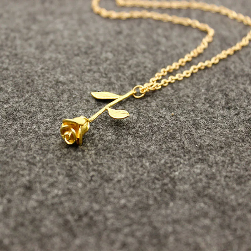 245083_no-logo_245083-1-05